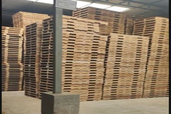 Bảng Giá Pallet Gỗ Tại Hải Phòng